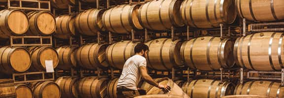 Typisch Österreich: Weinvielfalt aus Carnuntum