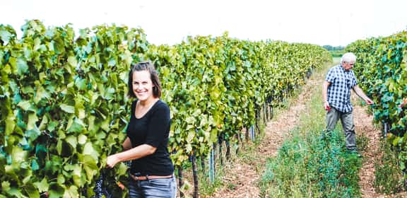 Exklusiver Winzer-Tipp vom Weingut Habersack
