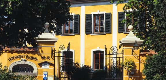 Erkunden Sie die Region des Monats: Kamptal DAC