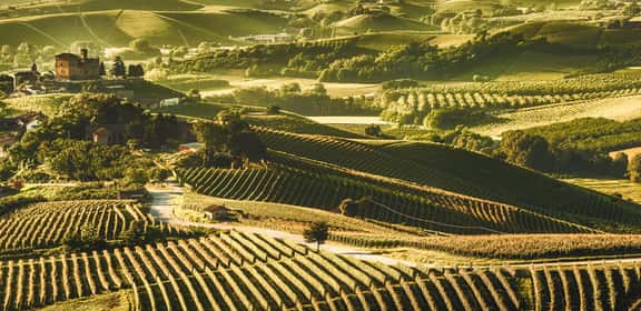 Regionen – Italiens Weinvielfalt erleben