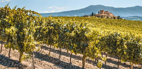 Lombardei - ein Paradies für Weinliebhaber