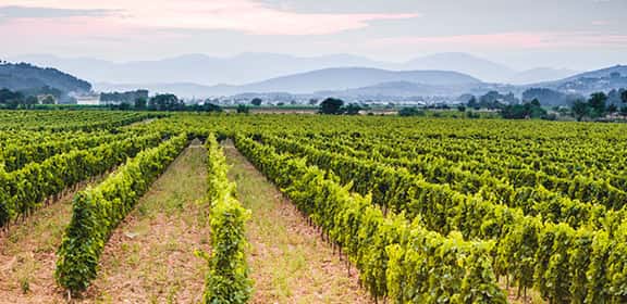Jetzt neu: Frankreich entdecken!