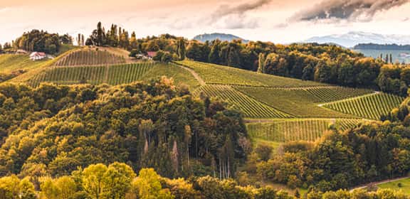 Das Best of Mittelburgenland im Aktionspaket