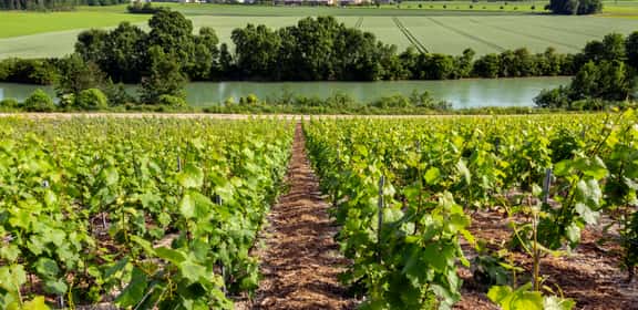 Kalabrien - Wilde Stiefelspitze mit unbekannten Weinschätzen