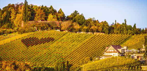 Die Steiermark im Glas – Entdecken Sie Tschermonegg