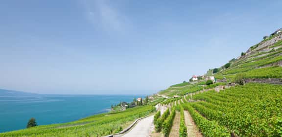 Sardinien - Atemberaubende Landschaft & Grandiose Weine