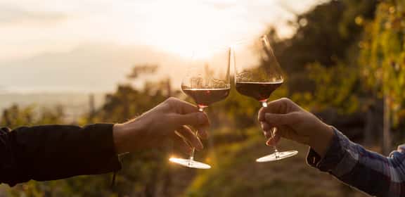 Roten Veltliner und das Weingut Heiderer-Mayer