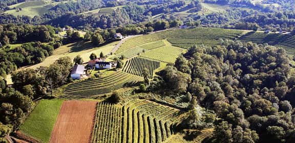 Jura - Mineralität und alpine Frische in Perfektion