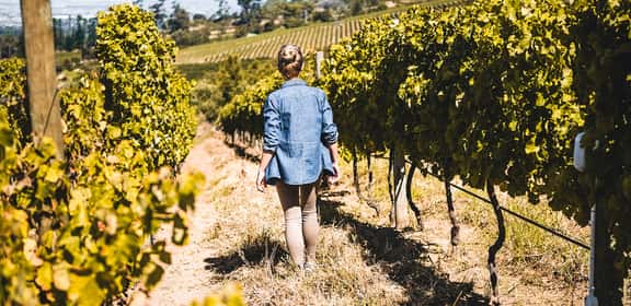 natürlich prickelnder Schaumwein