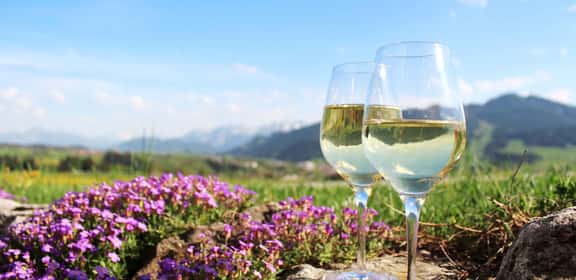 92 Punkte: Grüner Veltliner mit Leichtigkeit und Klasse