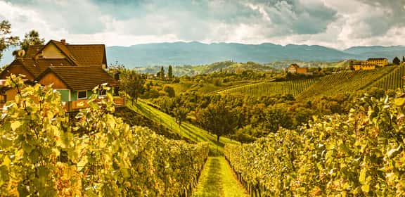 Süd Tirol - das Weinparadies in den Alpen
