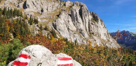 2022 Klöcher Gewürztraminer – Aromatische Spätlese