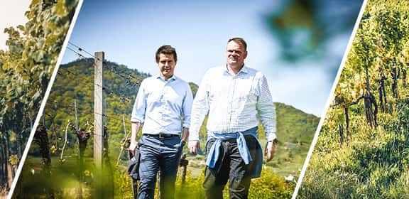 Winzer und Weingüter in den Weinbergen