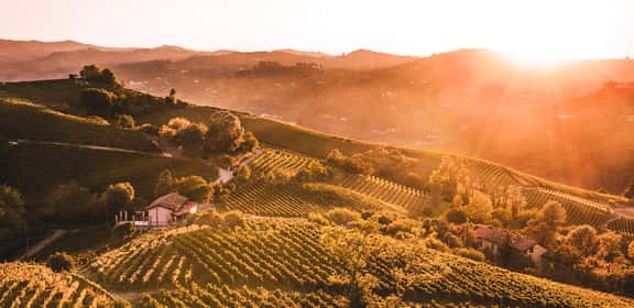 2024 2024 Grüner Veltliner Leicht und Fruchtig