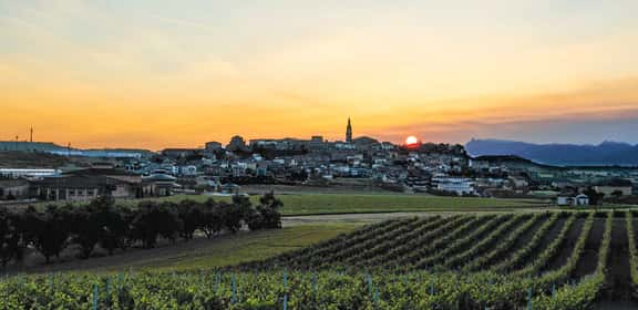Spannender Chardonnay von Weingut MAD