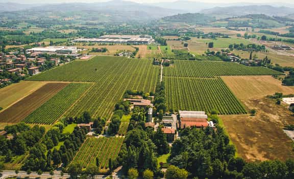 Pezzuoli