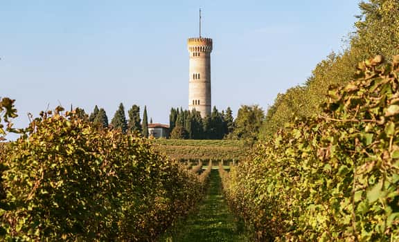 Citari