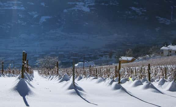 Grosjean Vins