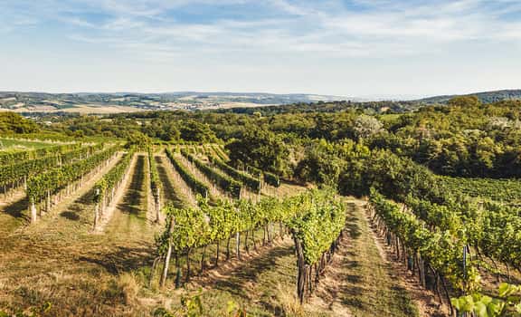 Weingut Martha & Franz Stopfer