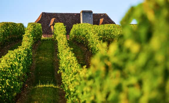 Domaine Mont d’Oraàs