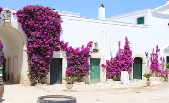 Villa Schinosa