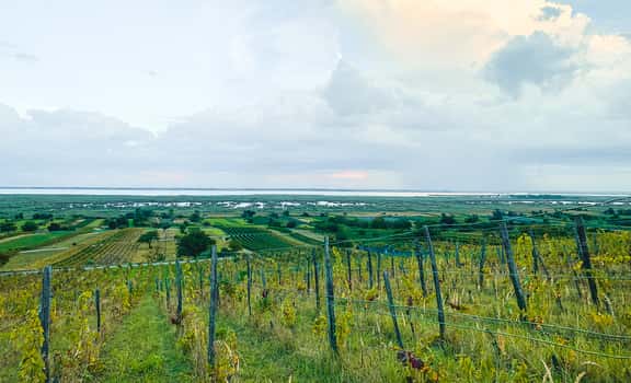Schönberger