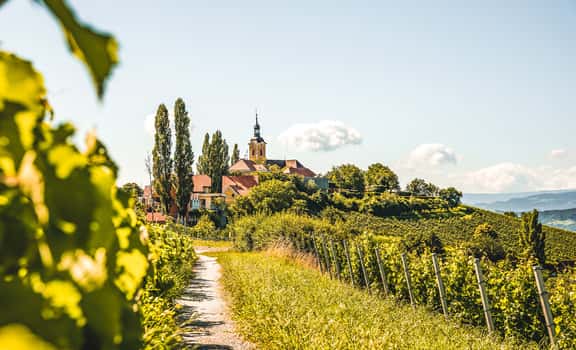 Baderwein