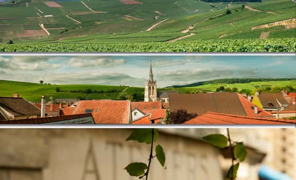Champagne Brimoncourt