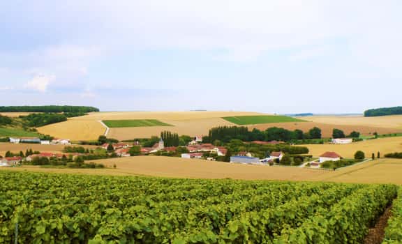 Champagne James Geoffroy