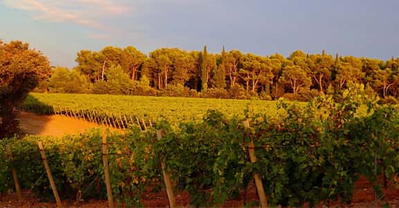 Bastide