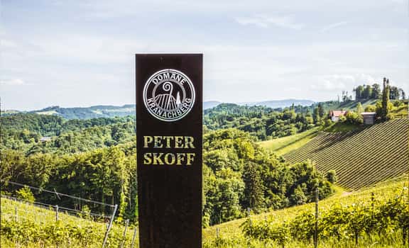 Peter Skoff