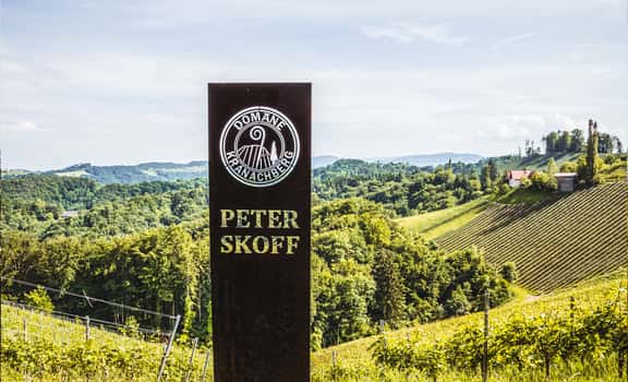 Peter Skoff