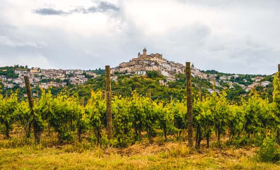village near vineyard Lizzano