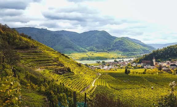 Domäne Wachau