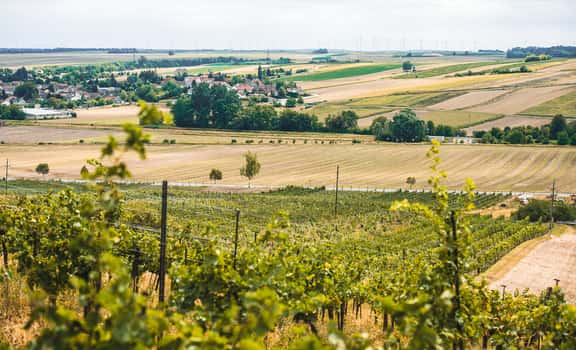 Martinshof