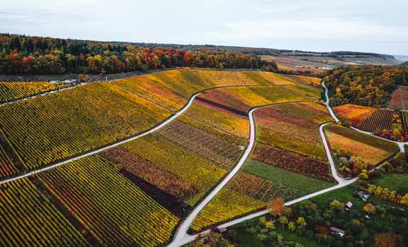 Weingärtner Stromberg-Zabergäu