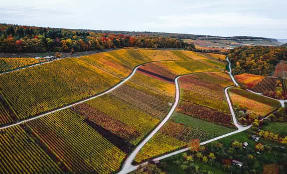 Weingärtner Stromberg-Zabergäu