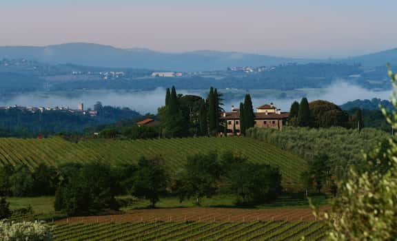 Tenuta Sette Ponti