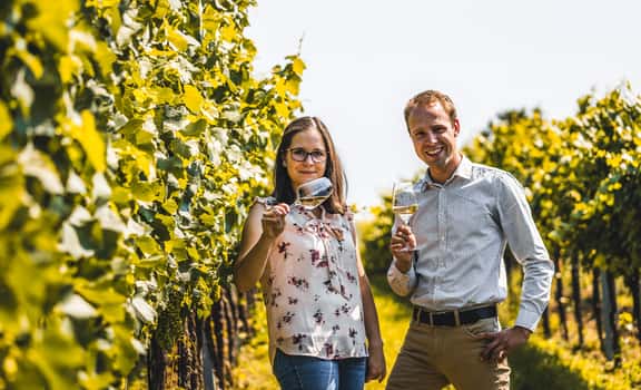 Weinbau Viti