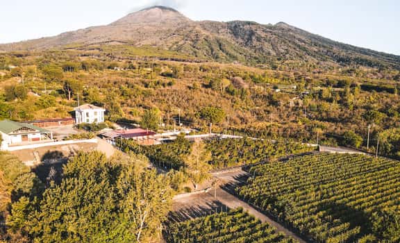 Tenuta le Lune del Vesuvio