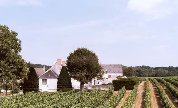 Domaine des Ouches