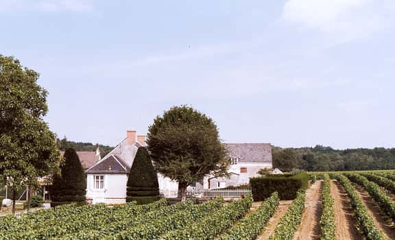 Domaine des Ouches