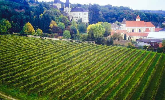 Schloss Maissau