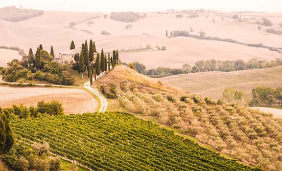 vineyard landscape Urciuolo Vini