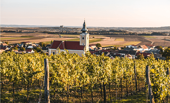 Birsak