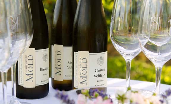 Fichtenbauer-Mold