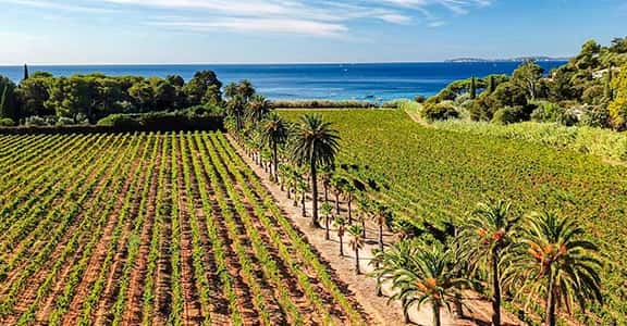 Domaine de La Madrague