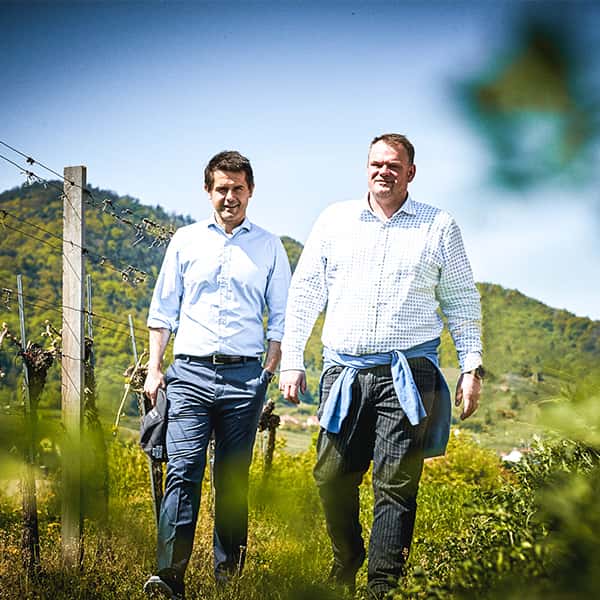 Domäne Wachau
