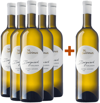 5+1 Paket Bergwerk Terlaner Classico Alto Adige DOC BIO