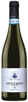 2024 Antithesi Pinot Nero Oltrepó Pavese DOC